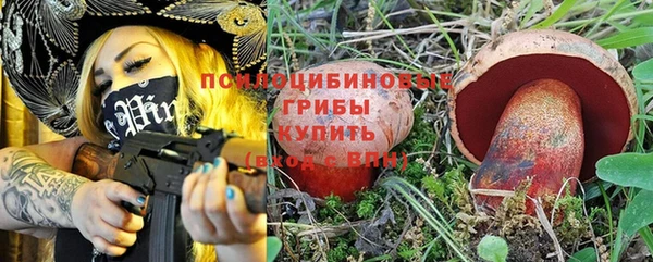 гашиш Горнозаводск