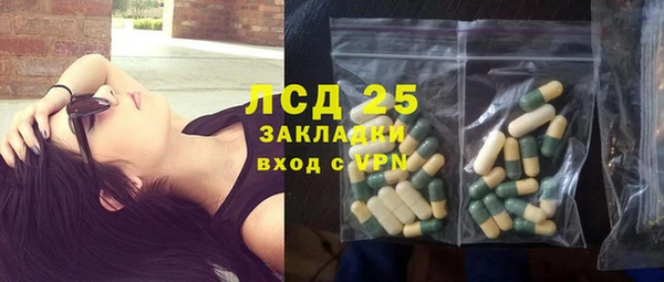 прущие крисы Горняк
