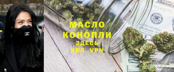 прущие крисы Горняк