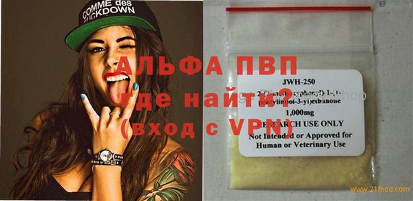 прущие крисы Горняк